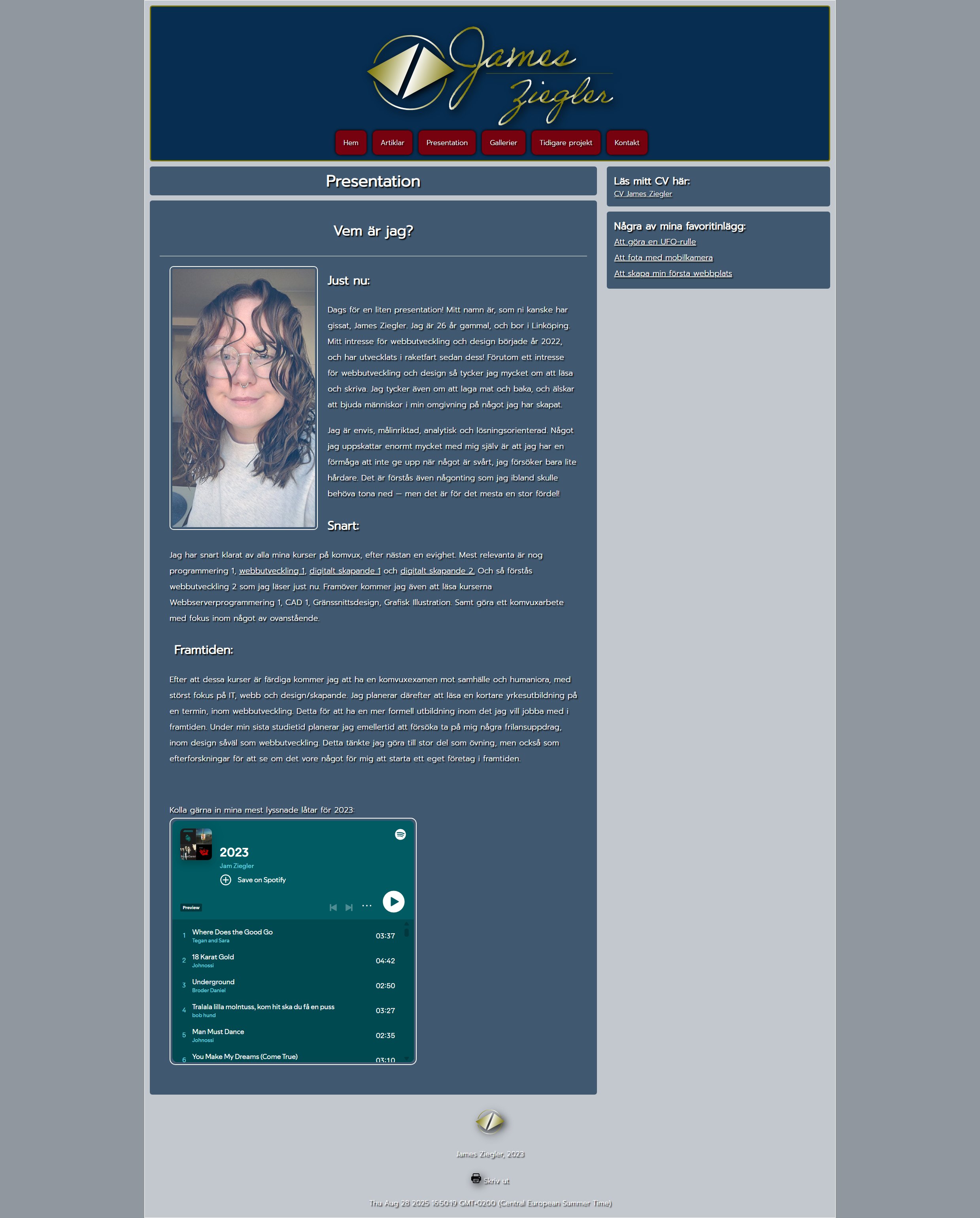 Wordpresstema 2 Screenshot