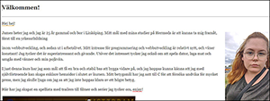 den visuella redigeraren